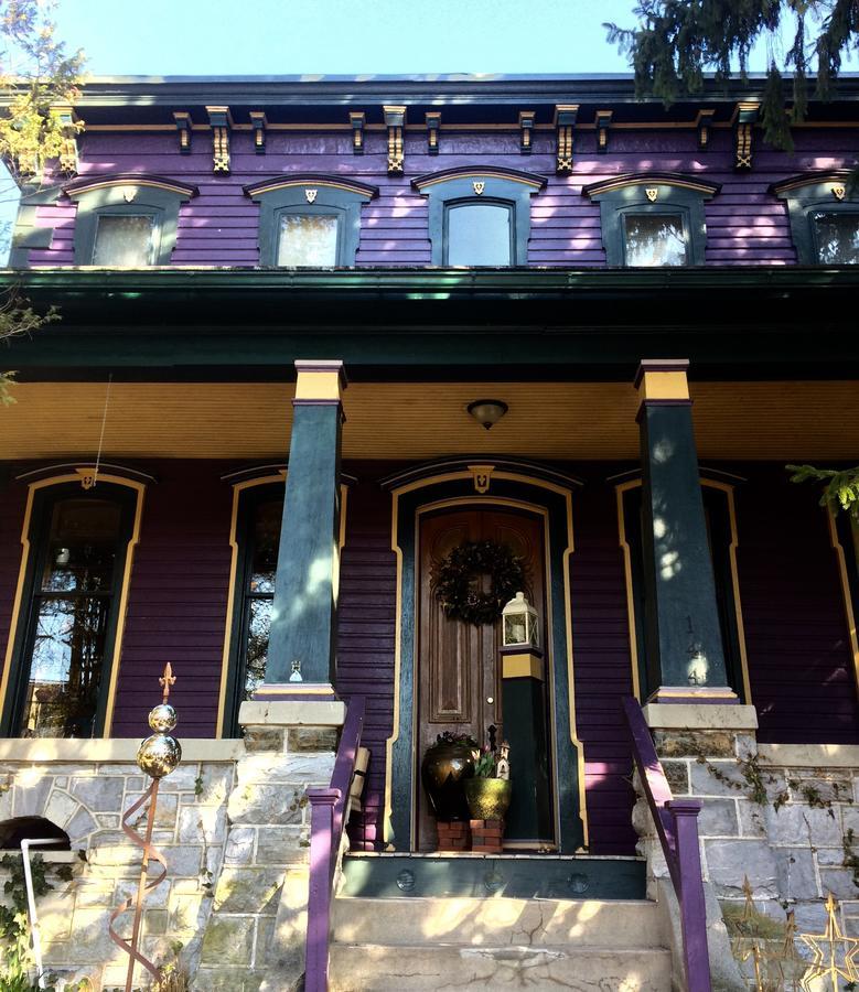 Amethyst Inn Adamstown Luaran gambar