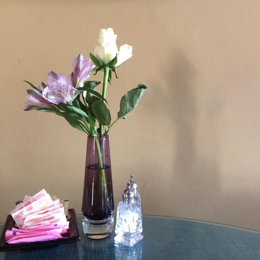 Amethyst Inn Adamstown Luaran gambar