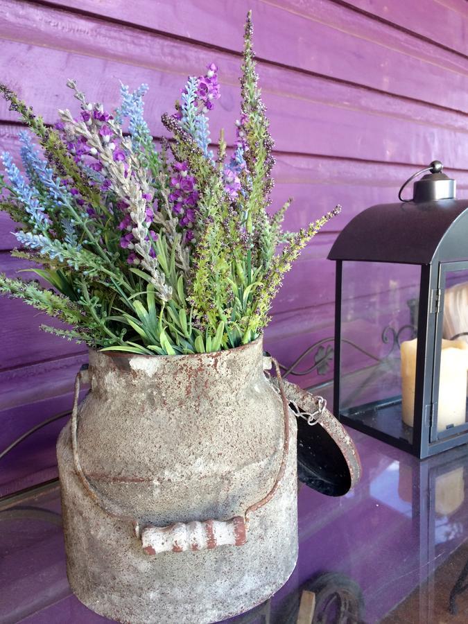 Amethyst Inn Adamstown Luaran gambar